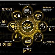 Вывод средств из Exness: обзор вывода средств